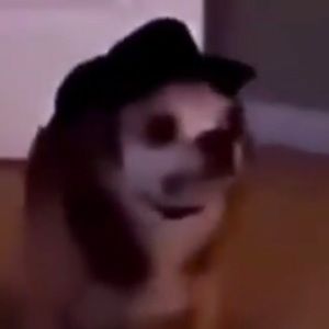 Meet your Posher, Bri